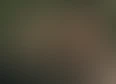 Female Filmmakers's tag thumbnail