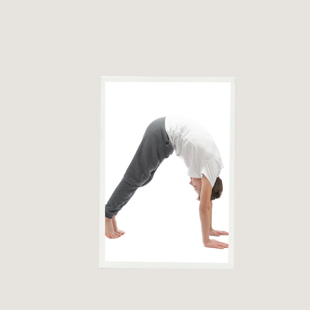 Workout Plan product image (7)