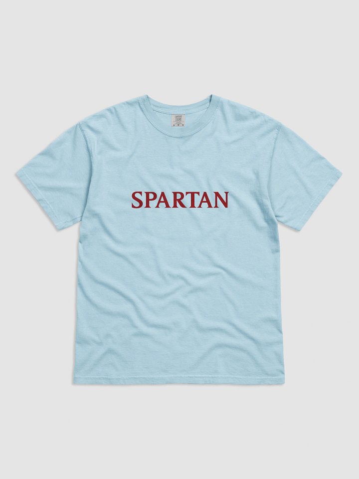 SPARTAN Sentinel Tee product image (1)