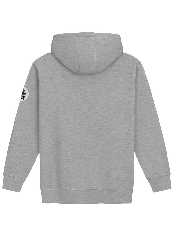 WFH Cult Member Hoodie: Cotton Heritage Unisex Premium product image (6)