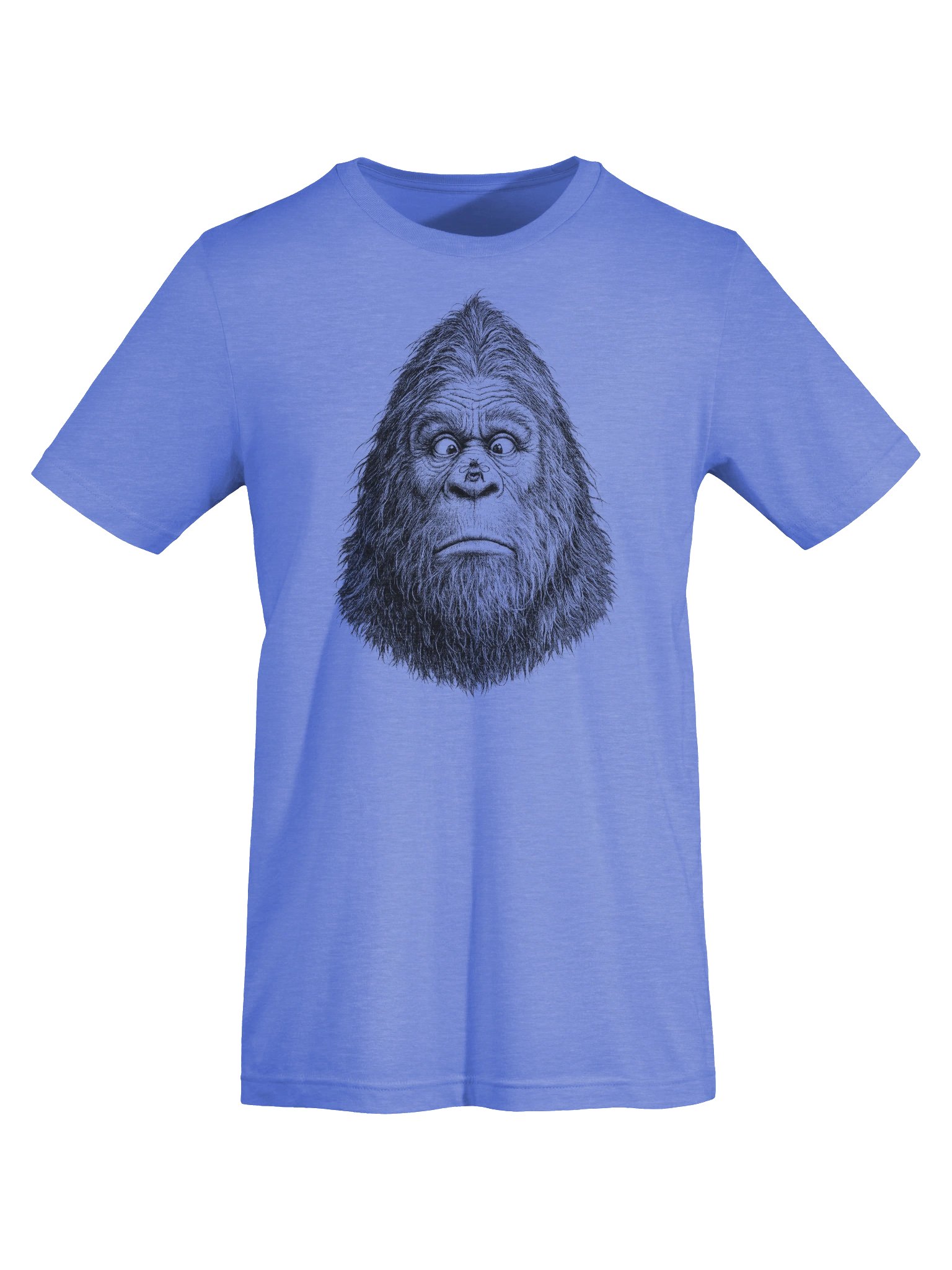 Bigfoot Bumbled T-Shirt product image (45)