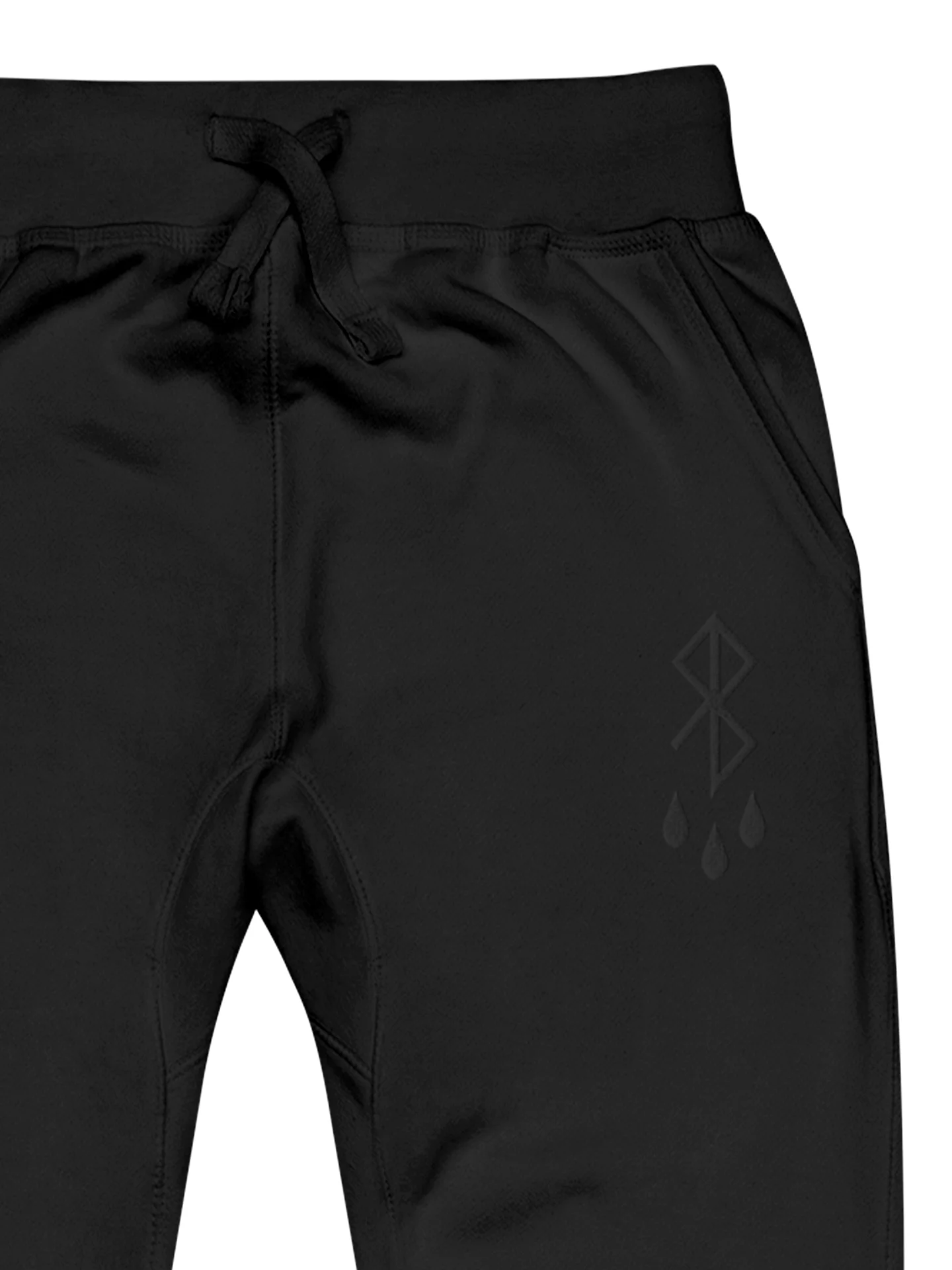 Michael Lafko - Embroidered Joggers product image (2)