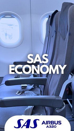 A mechanical issue linked to a computer failure delayed our @flysas departure by just over two hours. However, what stood out...