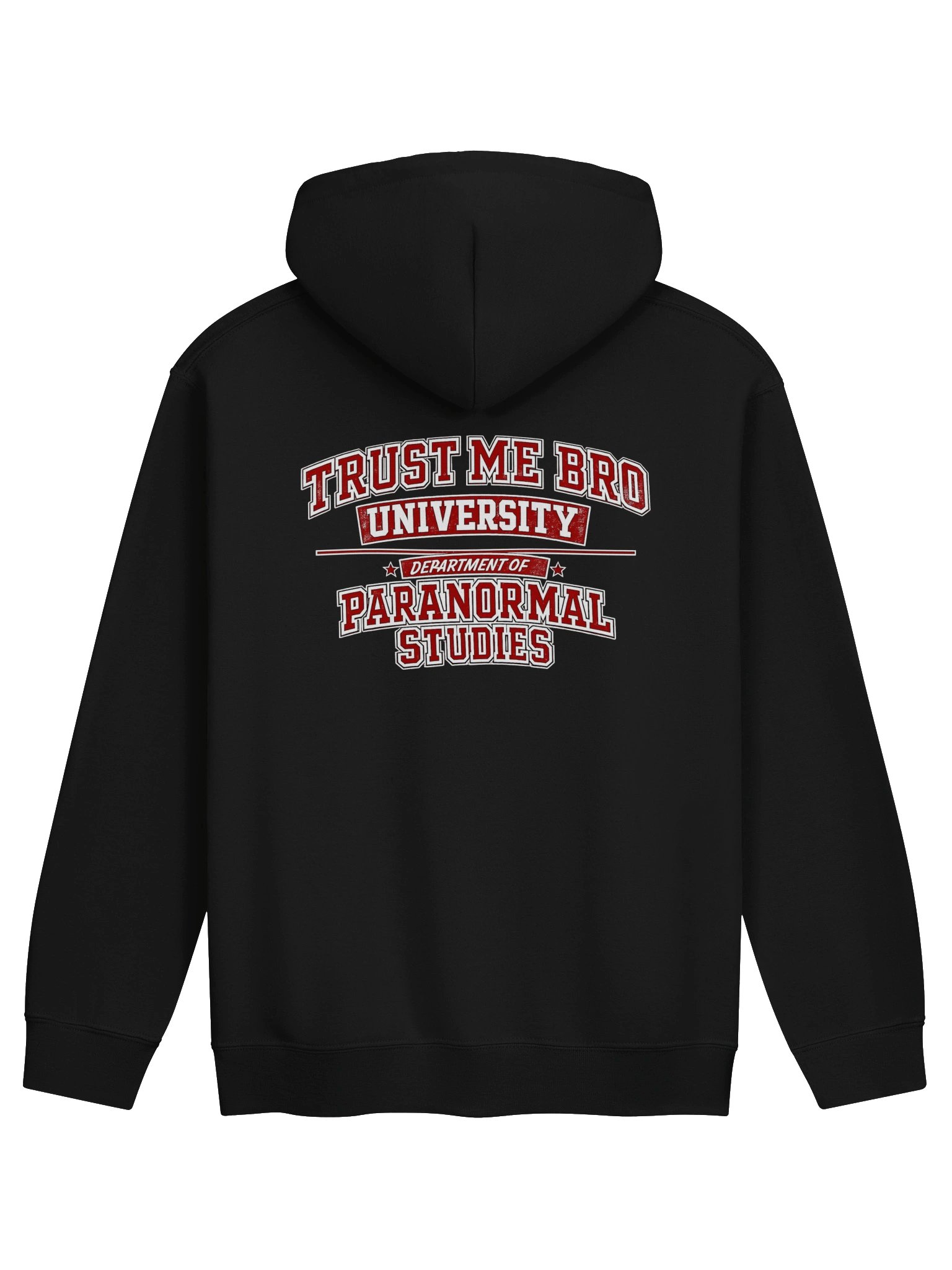 Trust Me Bro University Gildan Classic Hoodie product image (15)
