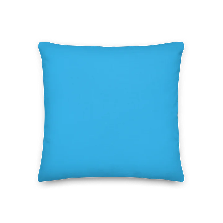 CCC Pillow product image (2)
