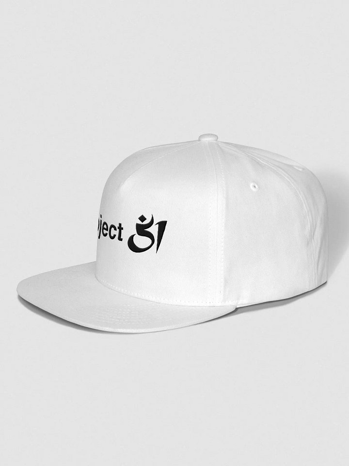 Project 51 snapback product image (2)