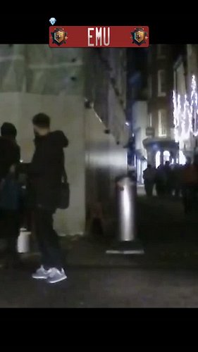 Pedestrian vs sentient bollard