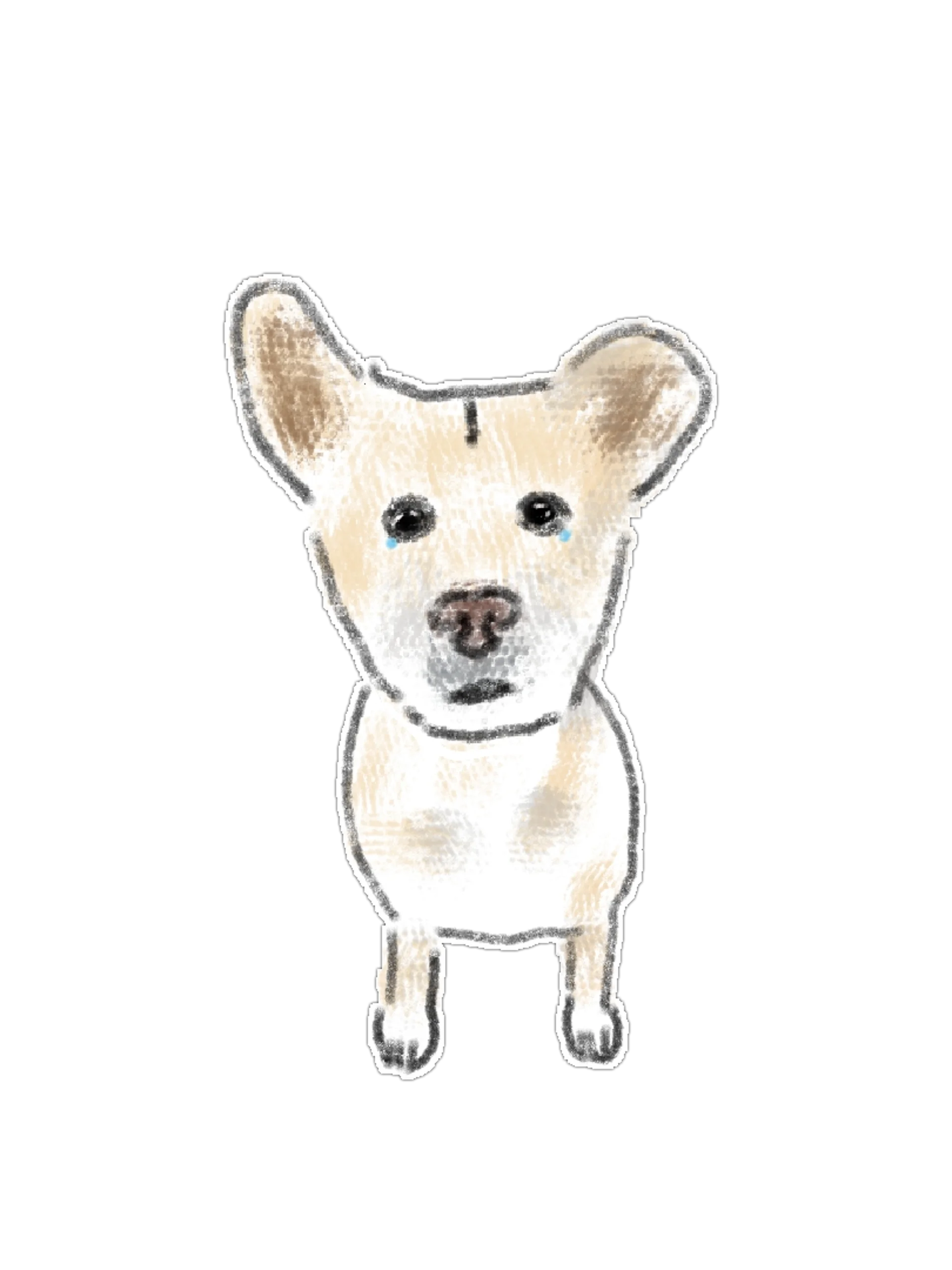 Dog Breeds Active Series PNG Graphics Bundle (15 Designs) product image (3)