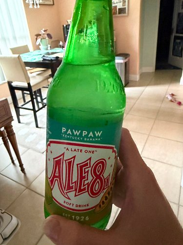 Wow… what a flavor!!! Paw Paw flavored Ale-8-One does not disappoint! For those who don’t know, a paw paw is like an Appalach...