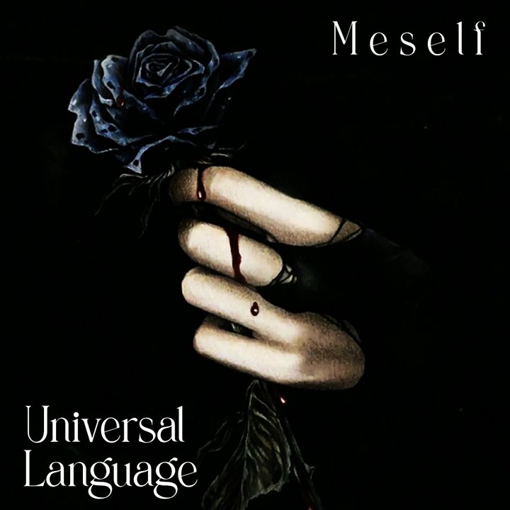 Universal Language (Meself) product image (1)