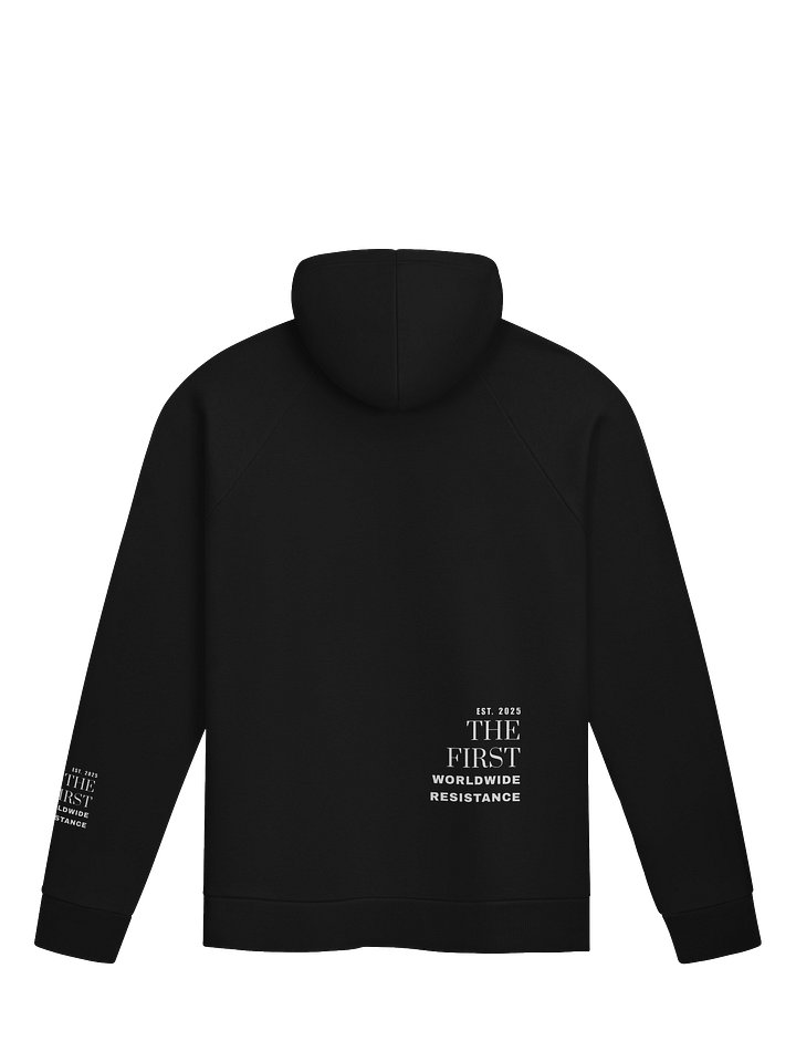RESISTANCE RISES x UNDER ARMOUR WOMENS RIGHTS SCARE INSECURE MEN HOODIE product image (2)