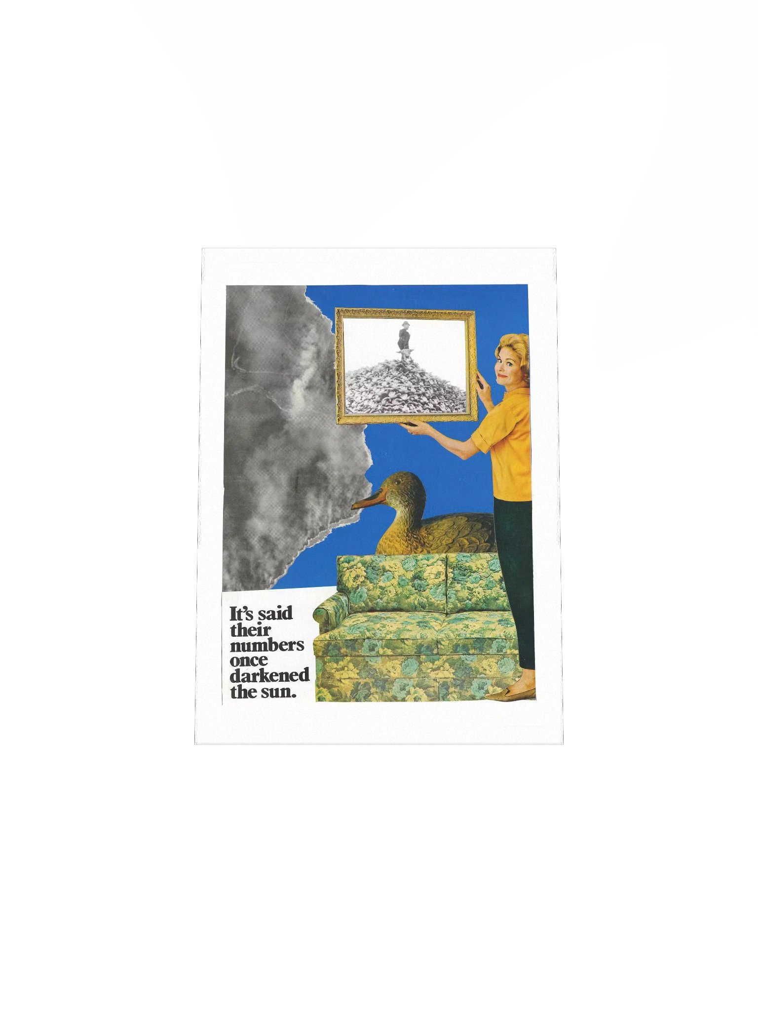 Old prob, new tricks. product image (4)