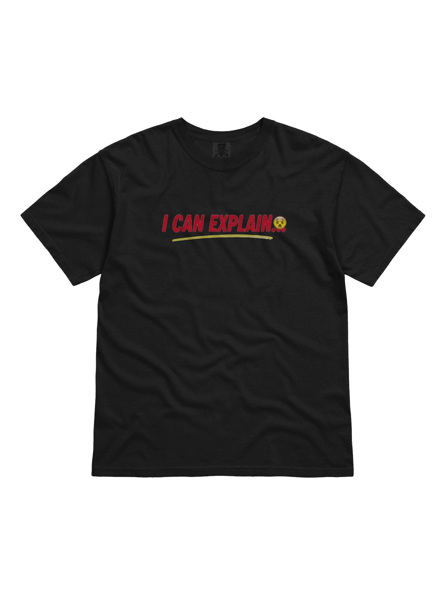 I CAN EXPLAIN Tee | Holiday Chaos Edition | Comfort Colors 1717 product image (3)