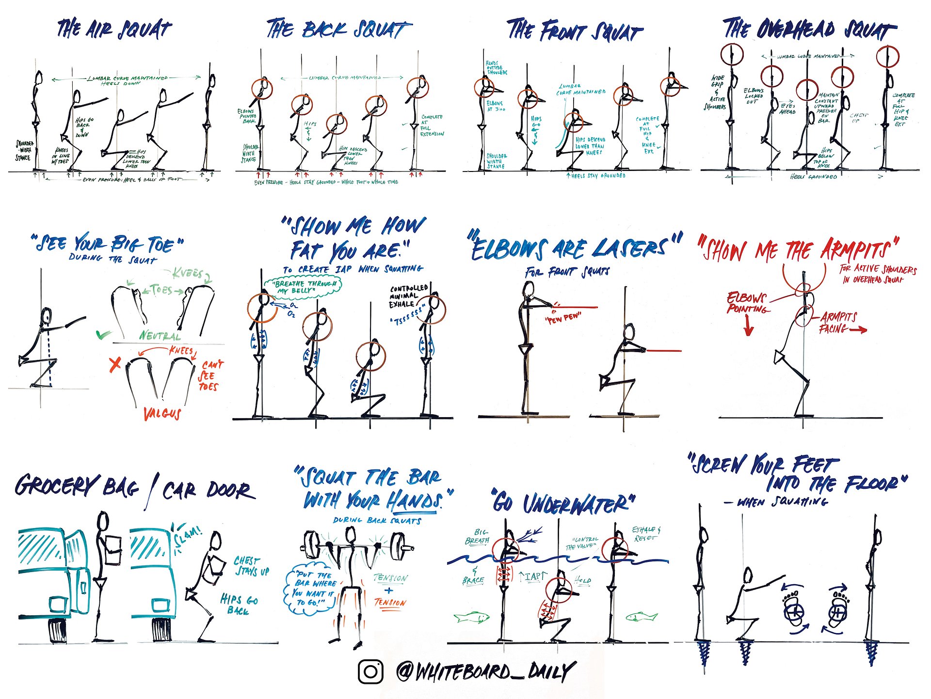 Digital Poster: "Squat Cues" - Full Color product image (1)