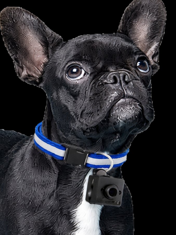 Tiny Pet Camera product image (3)