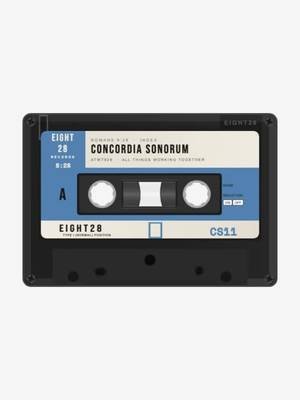 Track ID: Emmaus by @lilsaintdenzel  #hiphop #producer #lilsaintdenzel #boombap #cassette