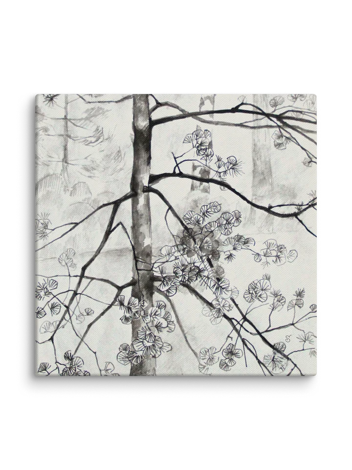 Eternal Growth Canvas - Young Pine Tree product image (2)