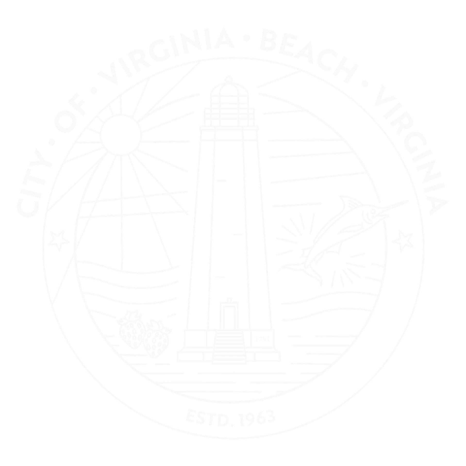 Virginia Beach Modern City Seal Tee - organic cotton product image (6)