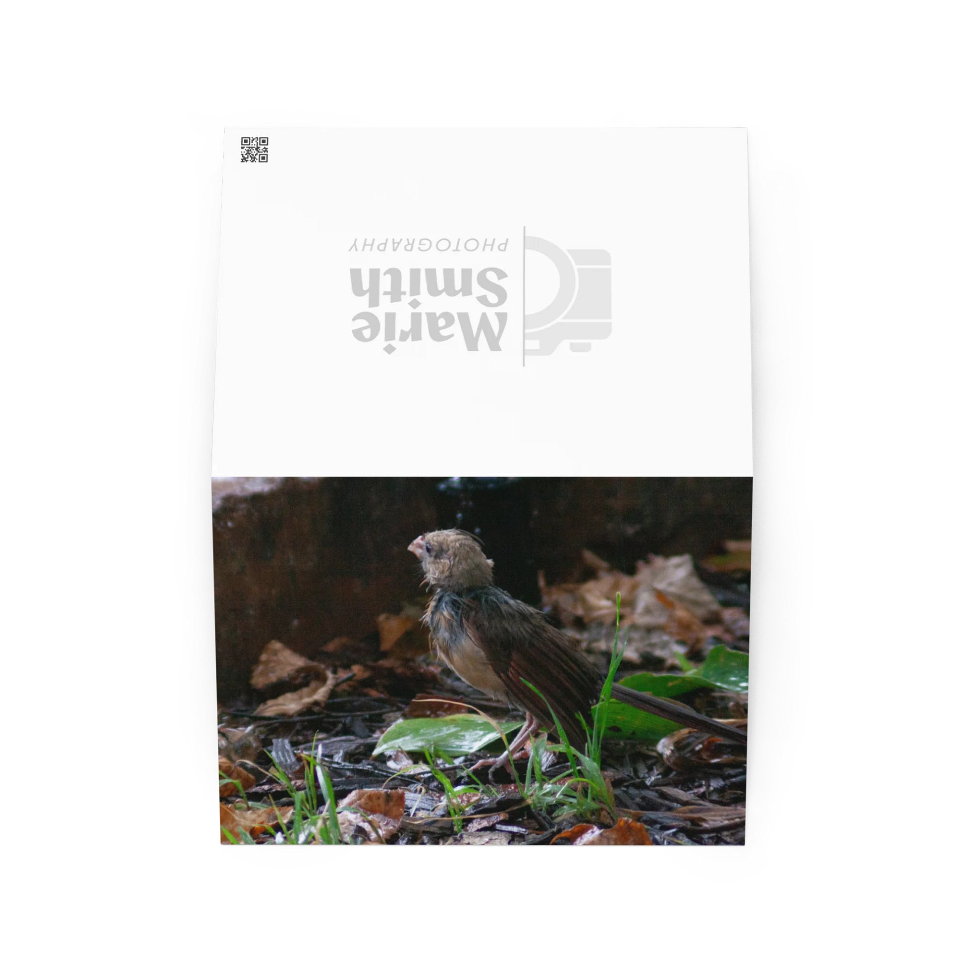 Rainy Day Bird Greeting Card product image (2)