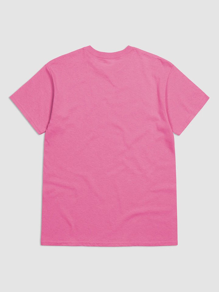 English or Spanish T-shirt product image (20)