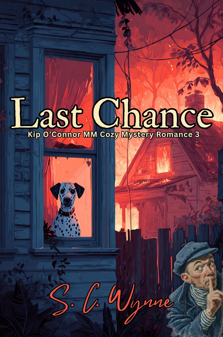 Last Chance (Kip O'Connor M/M Mystery Book 3 product image (1)