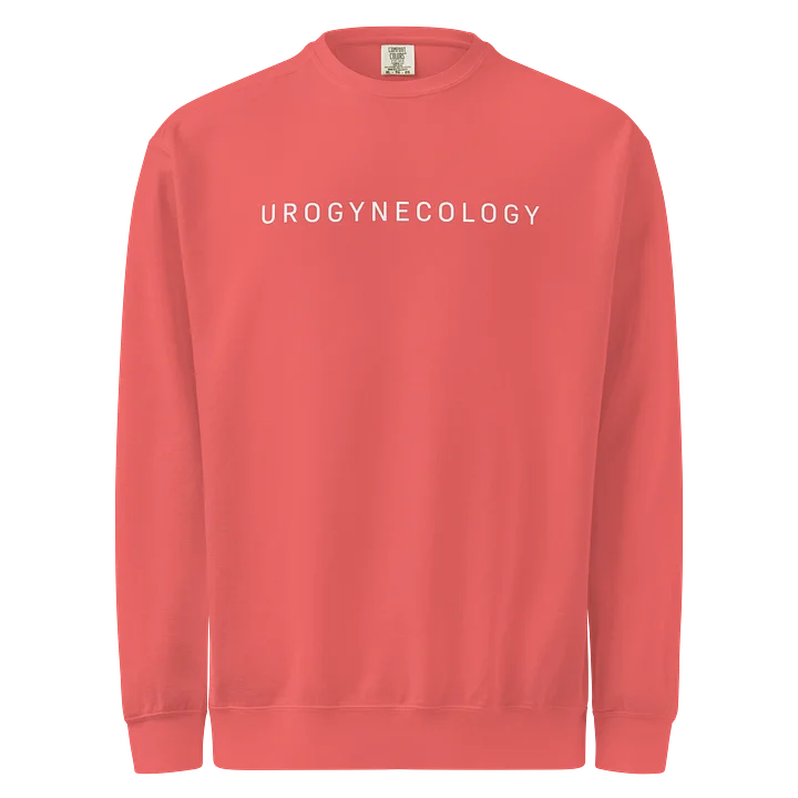 Urogynecology Comfort Colors Crewneck product image (33)