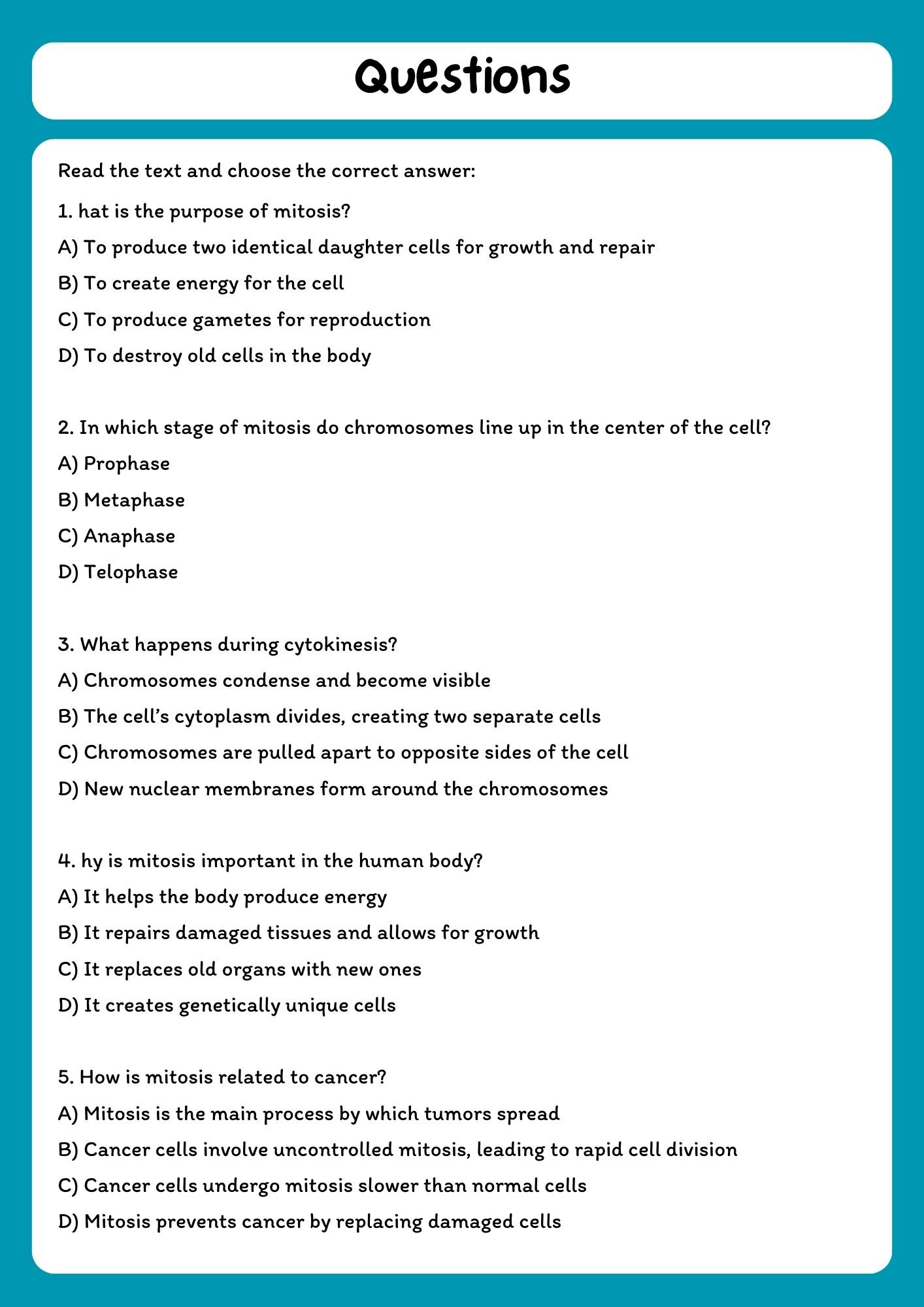 Mitosis Reading Comprehension Passage & Questions product image (2)