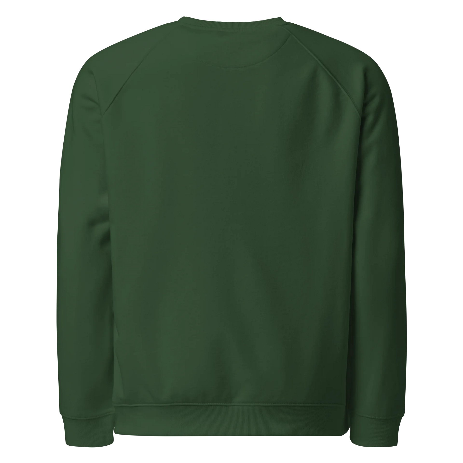 God Heals Sweatshirt product image (6)