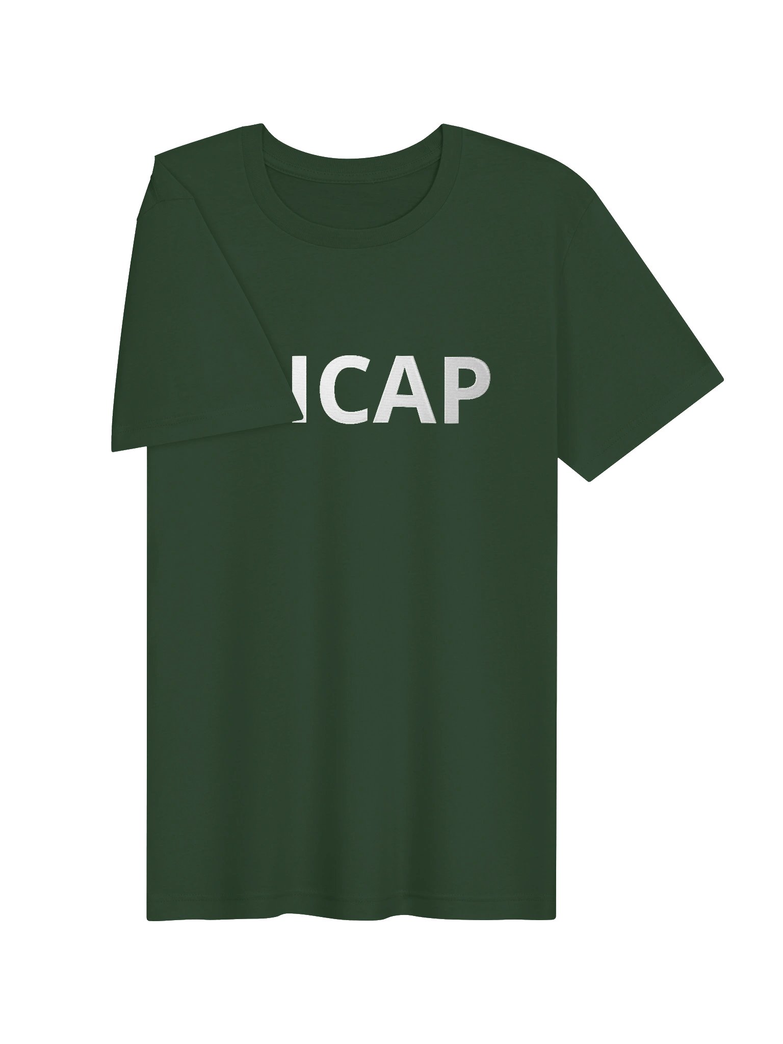 NICAP Embroidered T-Shirt, Fallen Angel, Multiple Colors T-Shirt, Sci Fi Lovers Gift T-Shirt product image (44)