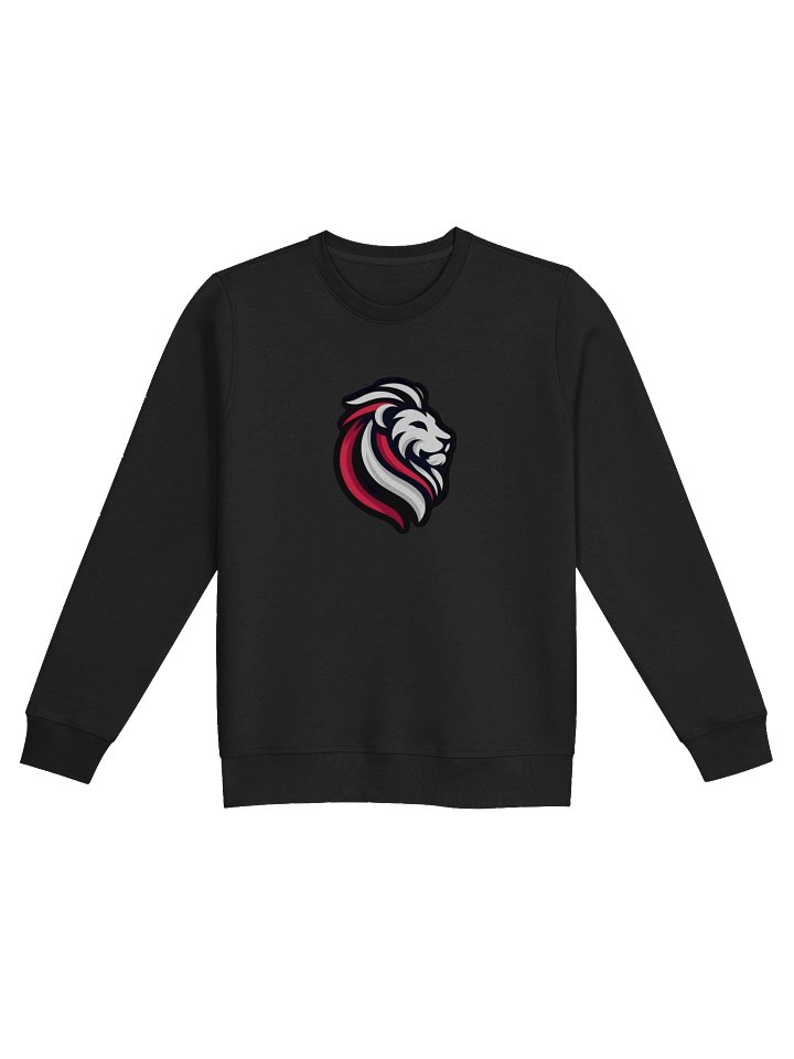 Snipes Organic Sweatshirt product image (3)