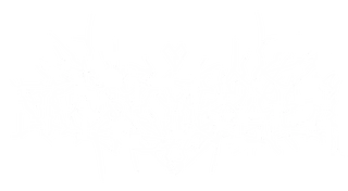 TOXYKALI