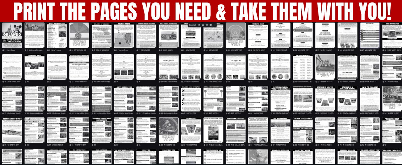 Orlando Travel Guide 2026 | 91-Page Printable Digital PDF, Instant Download 🌴 product image (5)