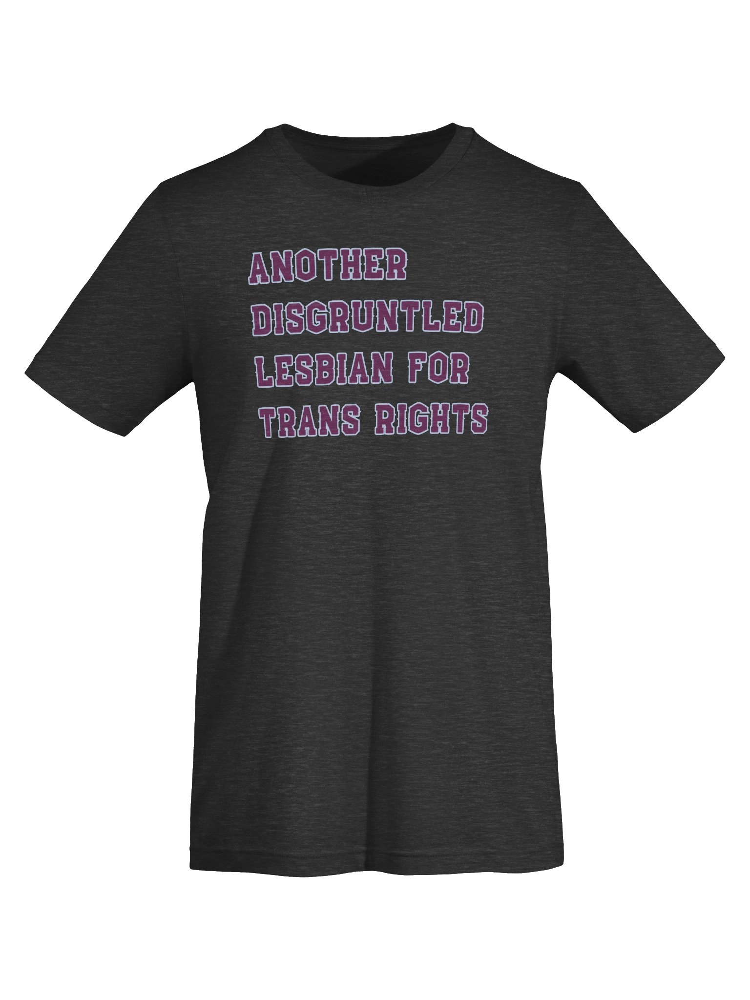 Disgruntled Toronto Lesbian product image (5)