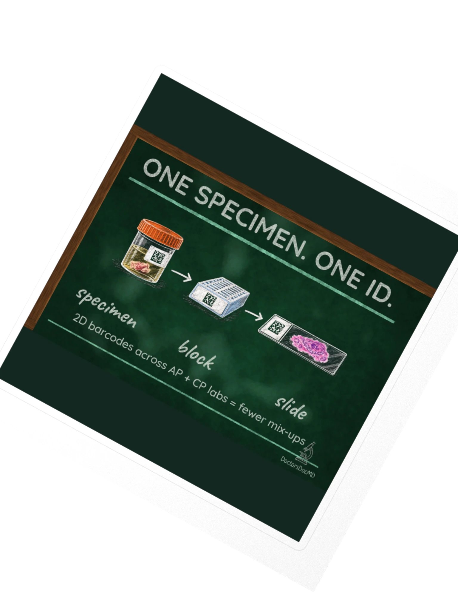DoctorsDocMD - One Specimen. One ID. Sticker product image (2)