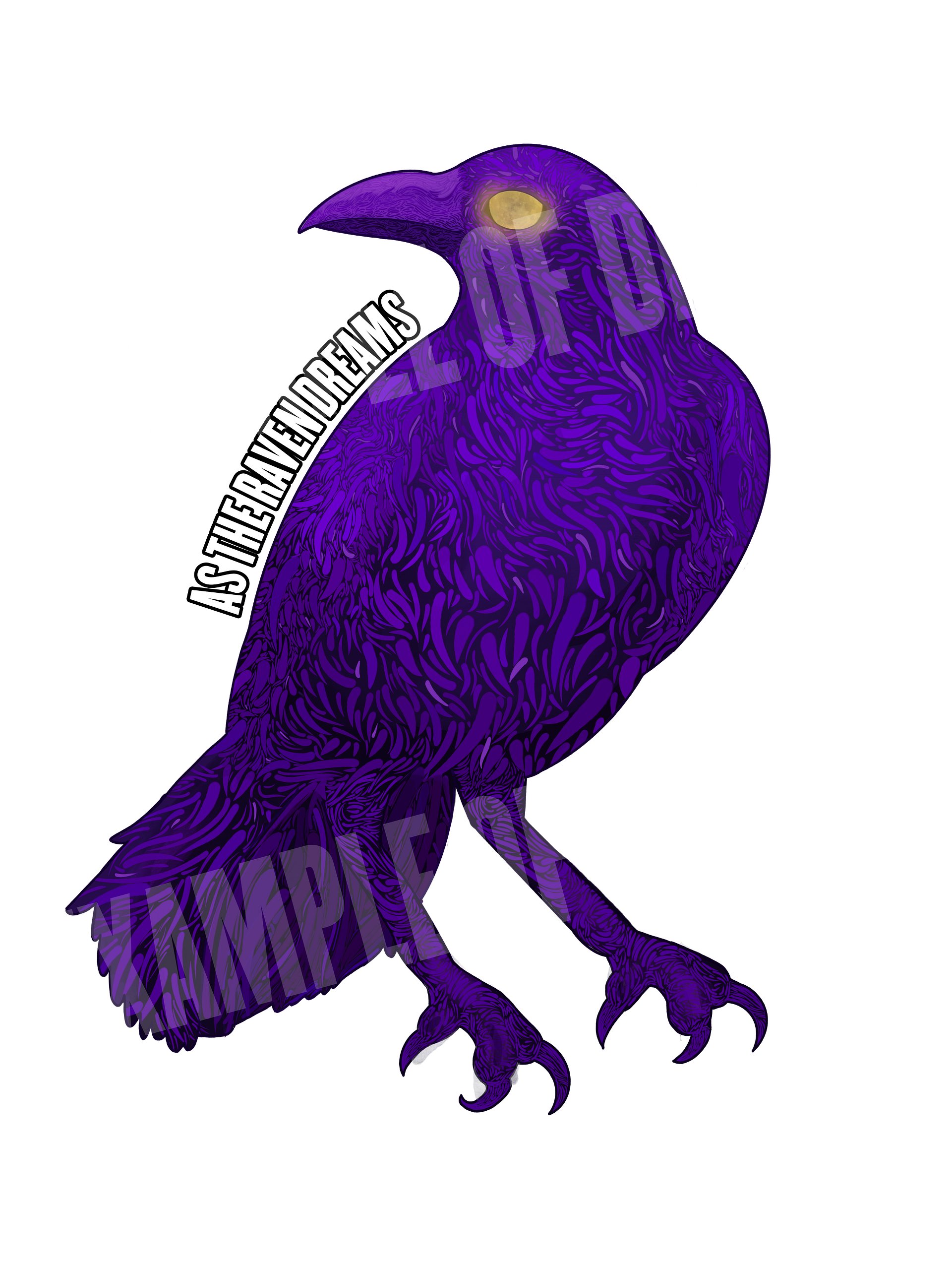 As The Raven Dreams - Andi's Raven product image (54)