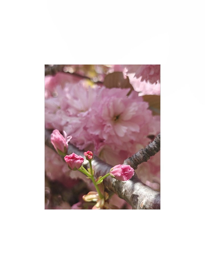 soft return - art print product image (1)