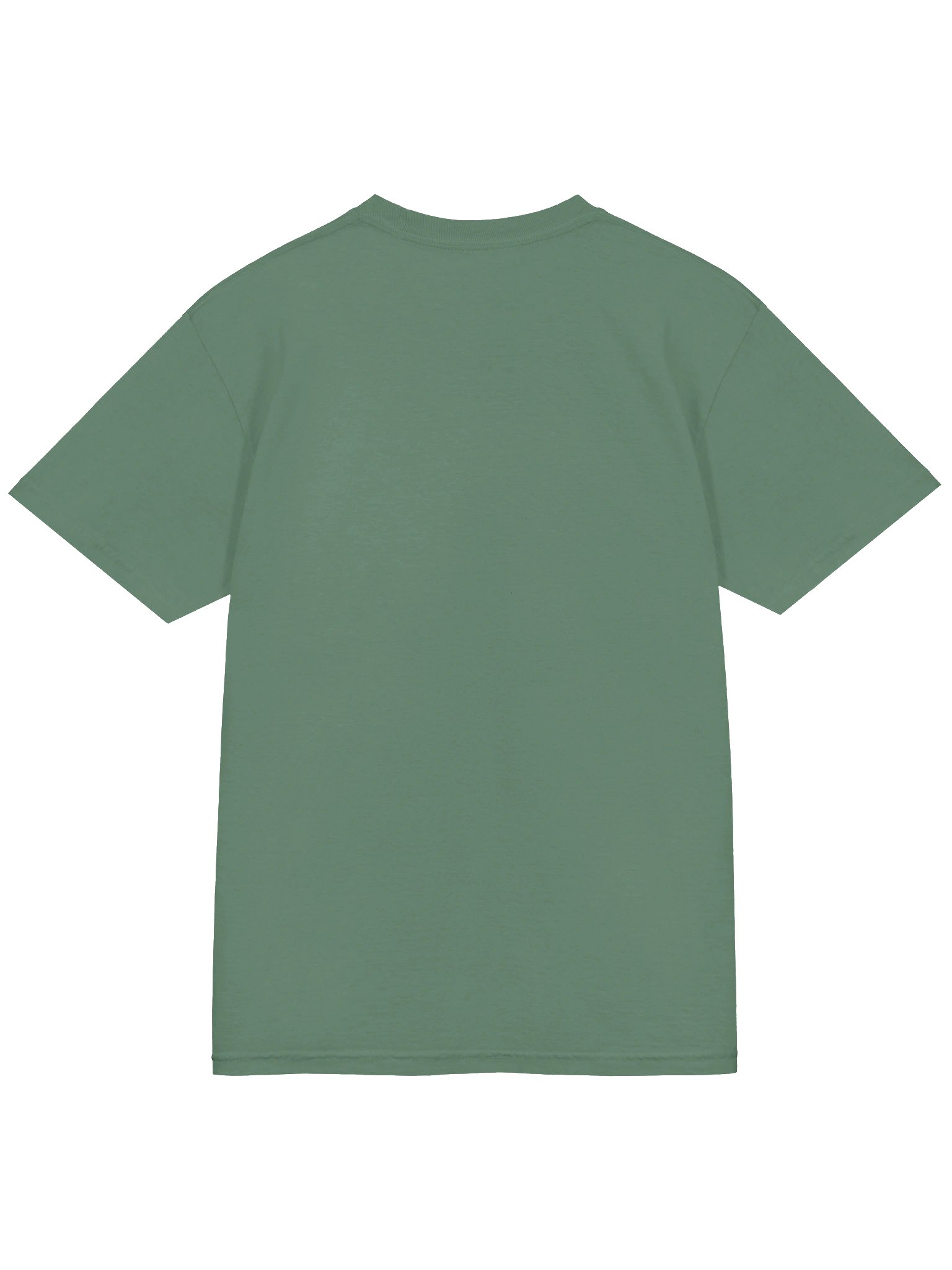 ShowMeTheFish - Comfort Colors Garment-Dyed Heavyweight T-Shirt product image (15)
