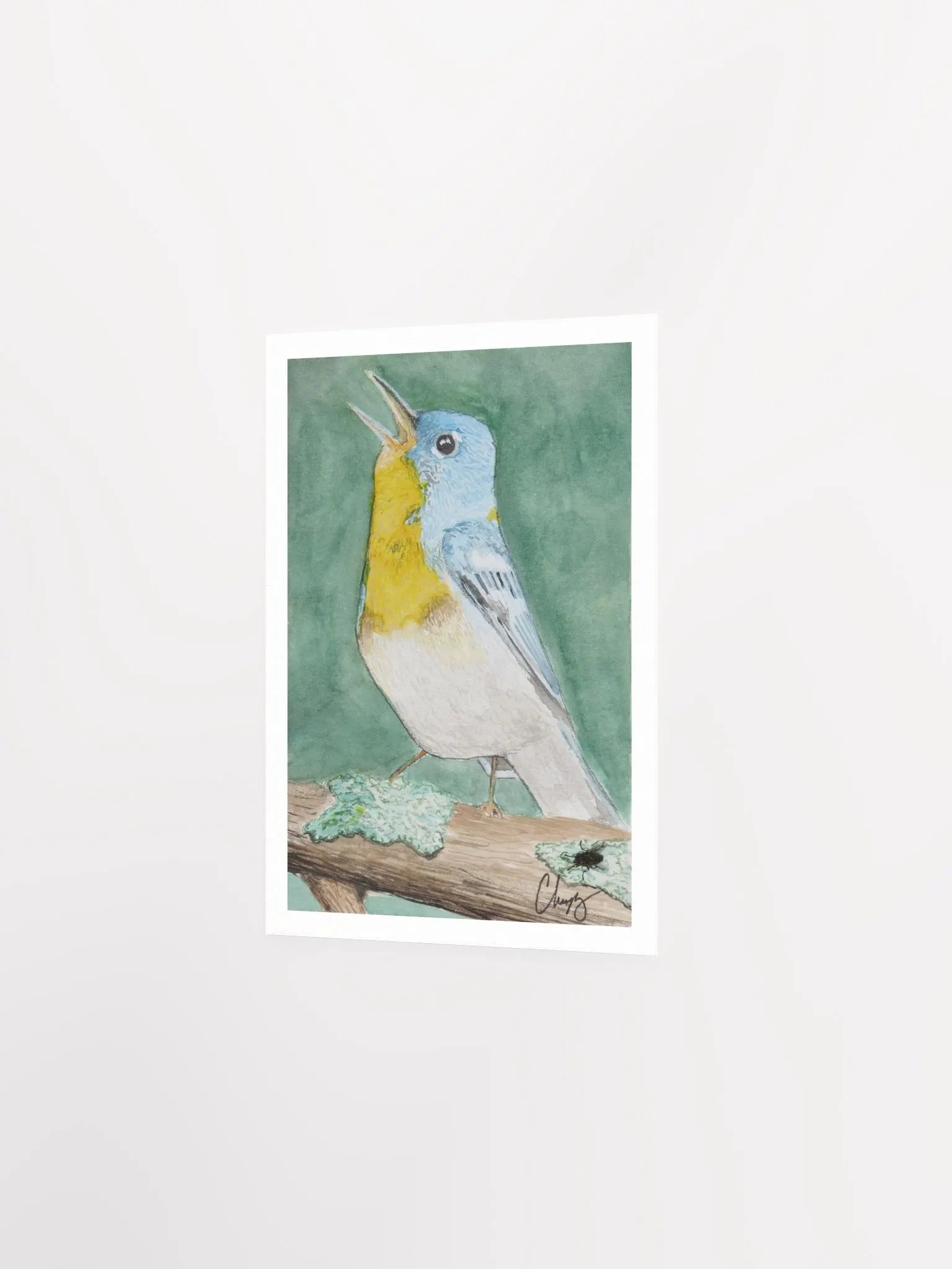 Northern Parula Warbler Print product image (2)