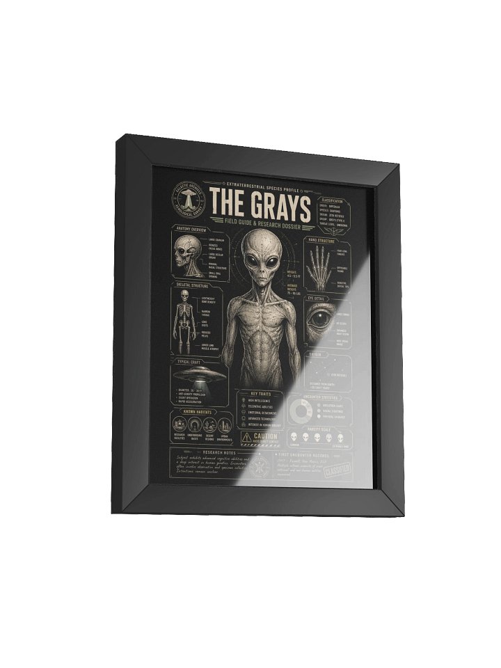 The Grays: Extraterrestrial Species Profile Poster product image (2)