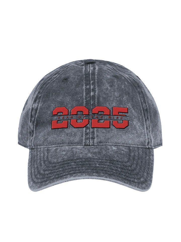Red "Year of the Bird" Vintage Cap product image (2)