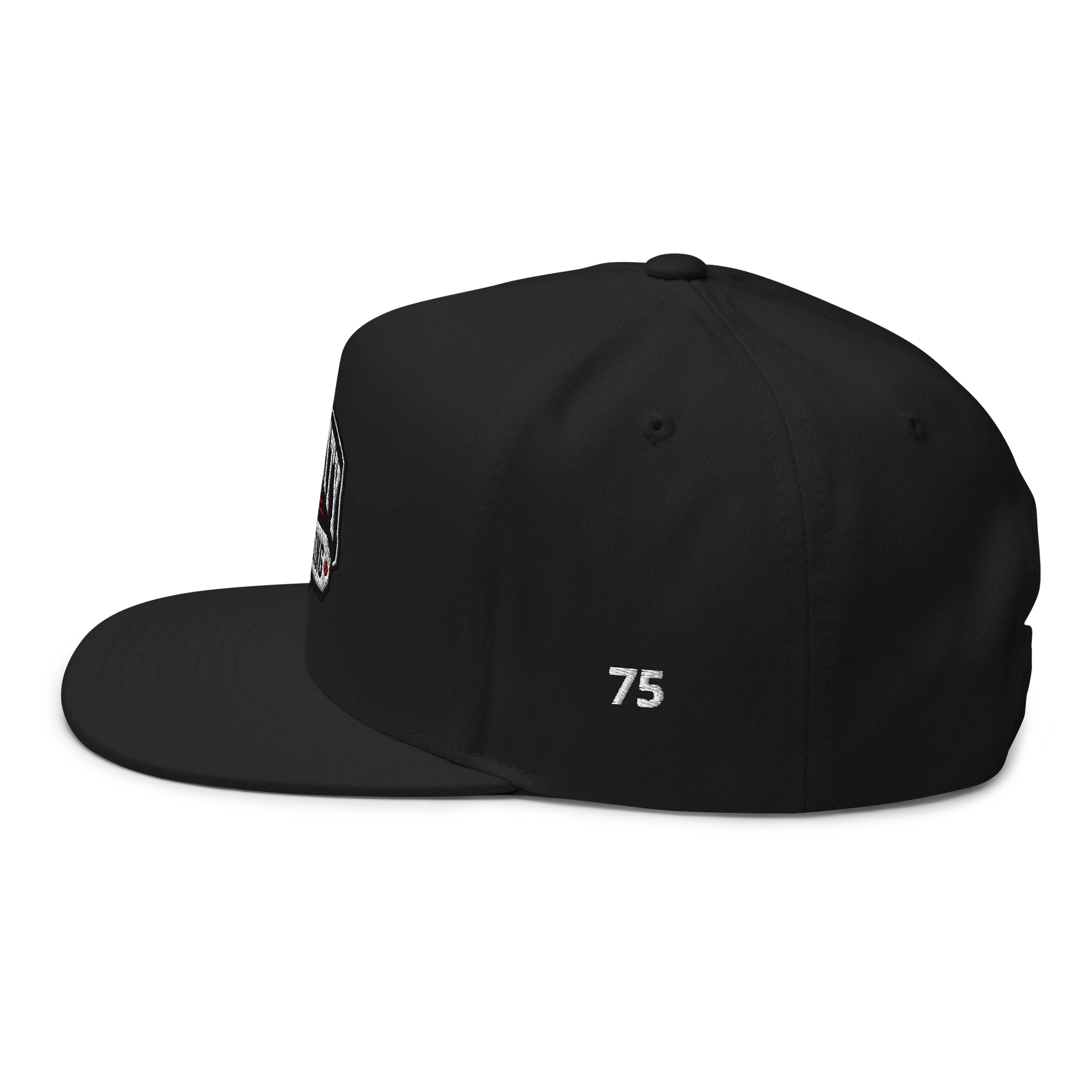 Athletic Logo hat product image (5)