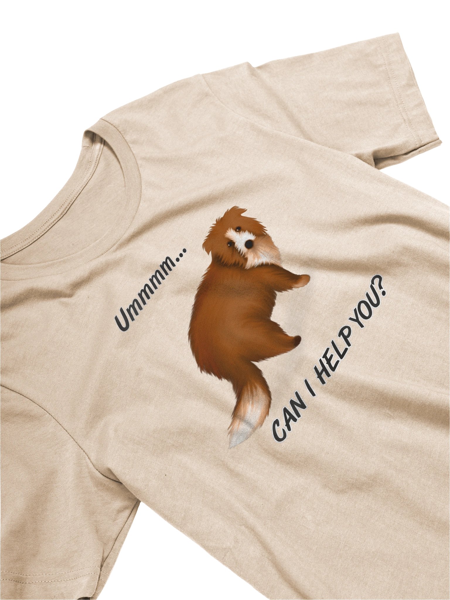 Women's Bella+Canvas Supersoft T-Shirt product image (2)