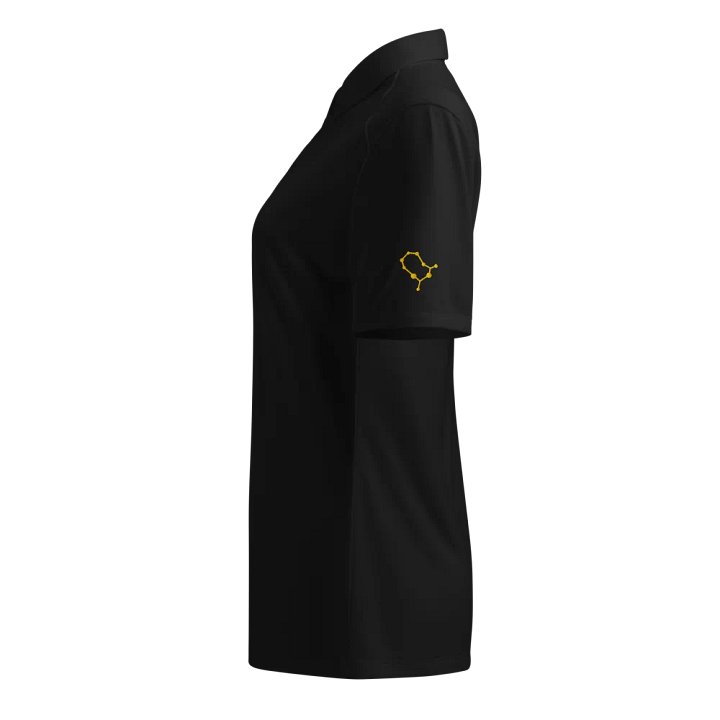 Luminous Gemini Women's Polo product image (1)