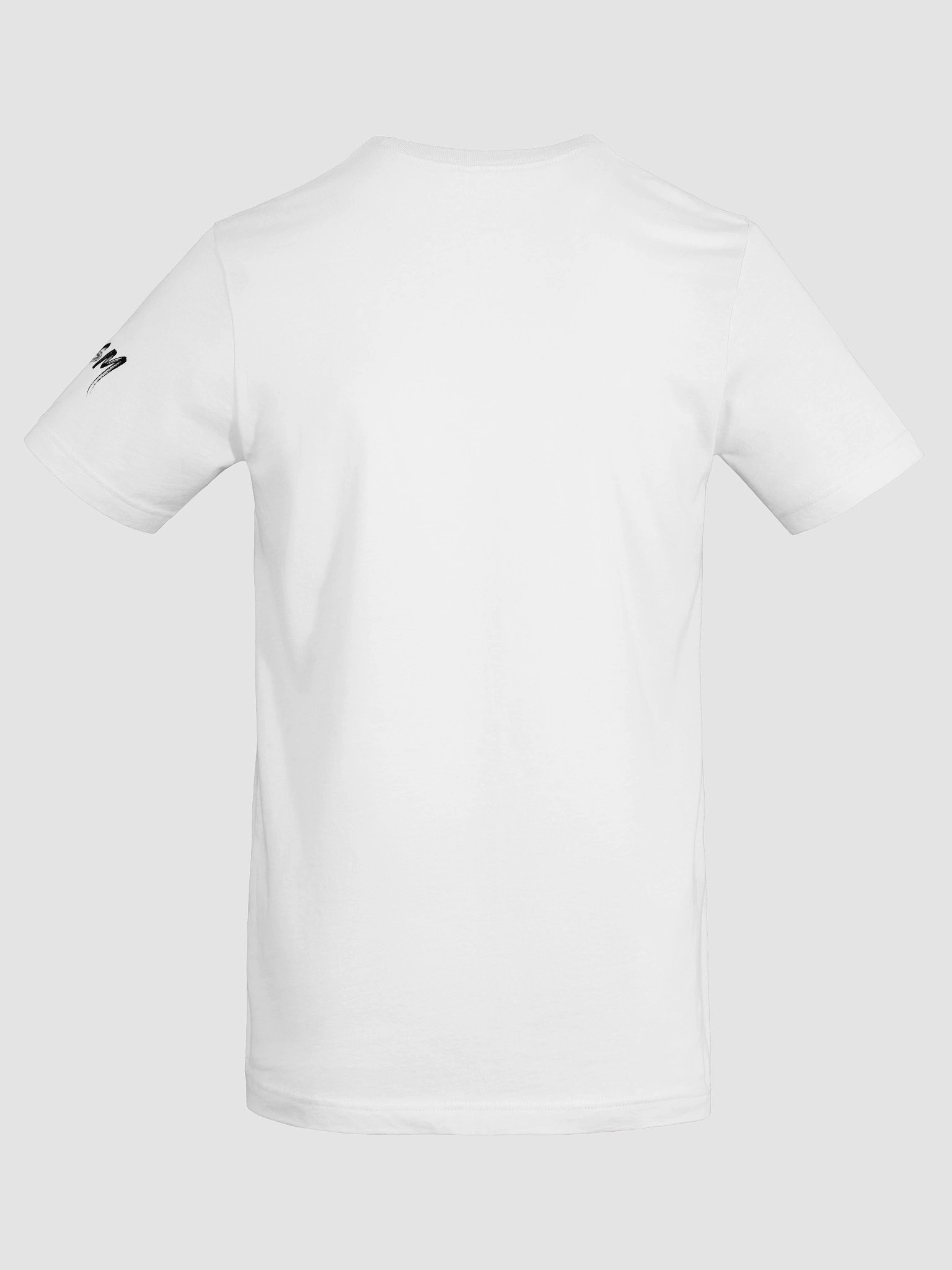 The 2nd Best One in the Room T-Shirt product image (38)