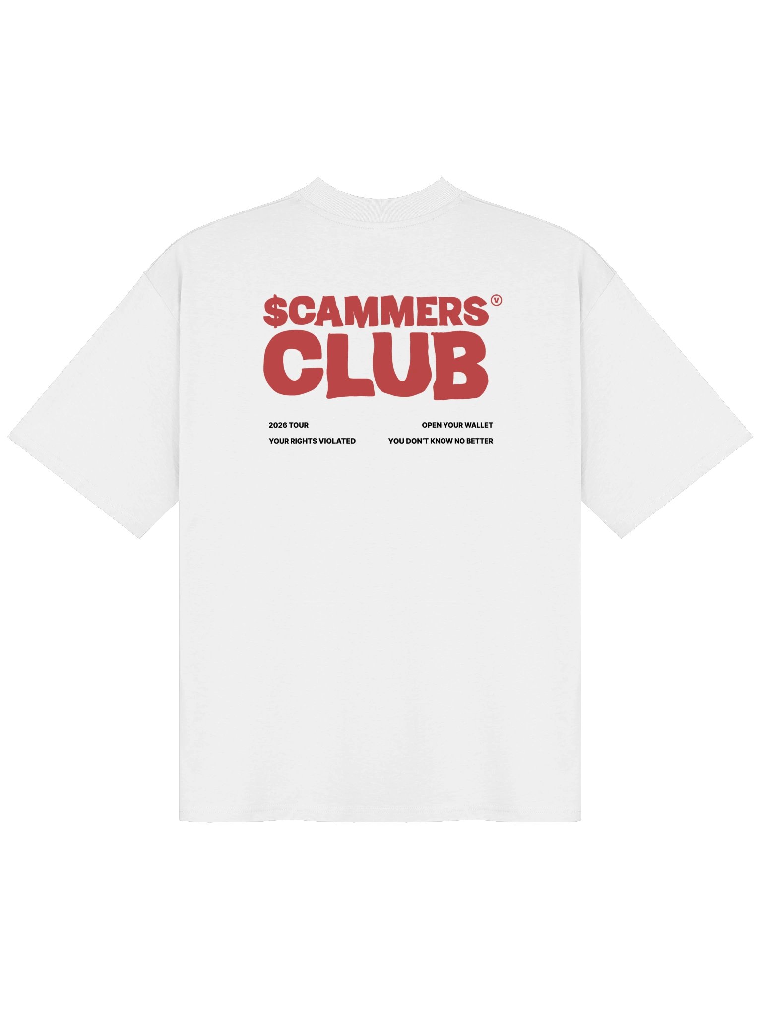 The Scammers Club "Wishful Thinking Avatar" Oversized Tee (in the Light) product image (2)