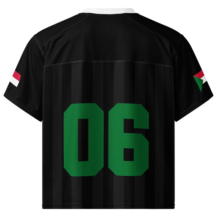 Sudan Boxy Sports Tee product image (2)