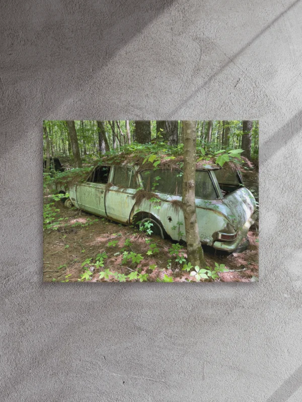 Old Car City USA – Nature Takes the Wheel product image (1)