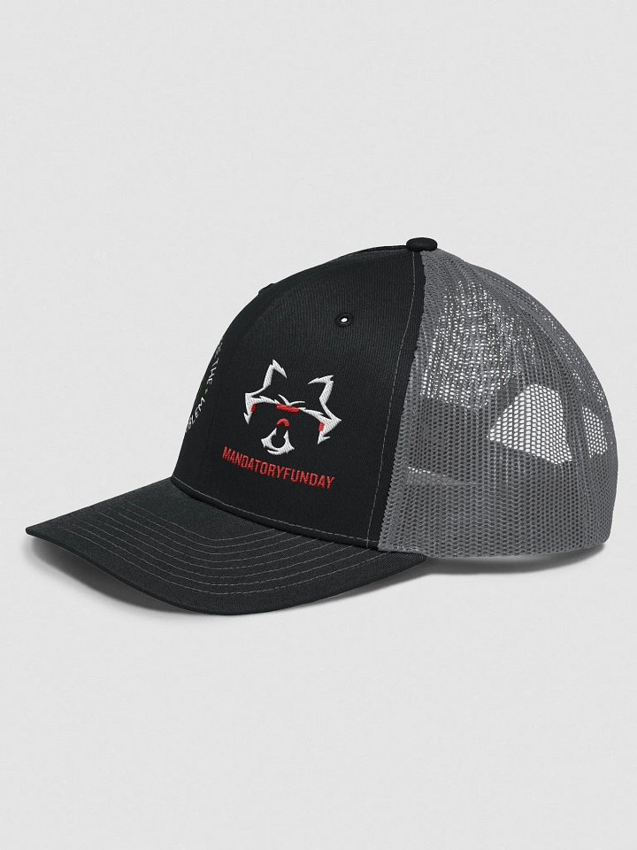 The Whole Problem Hat product image (2)