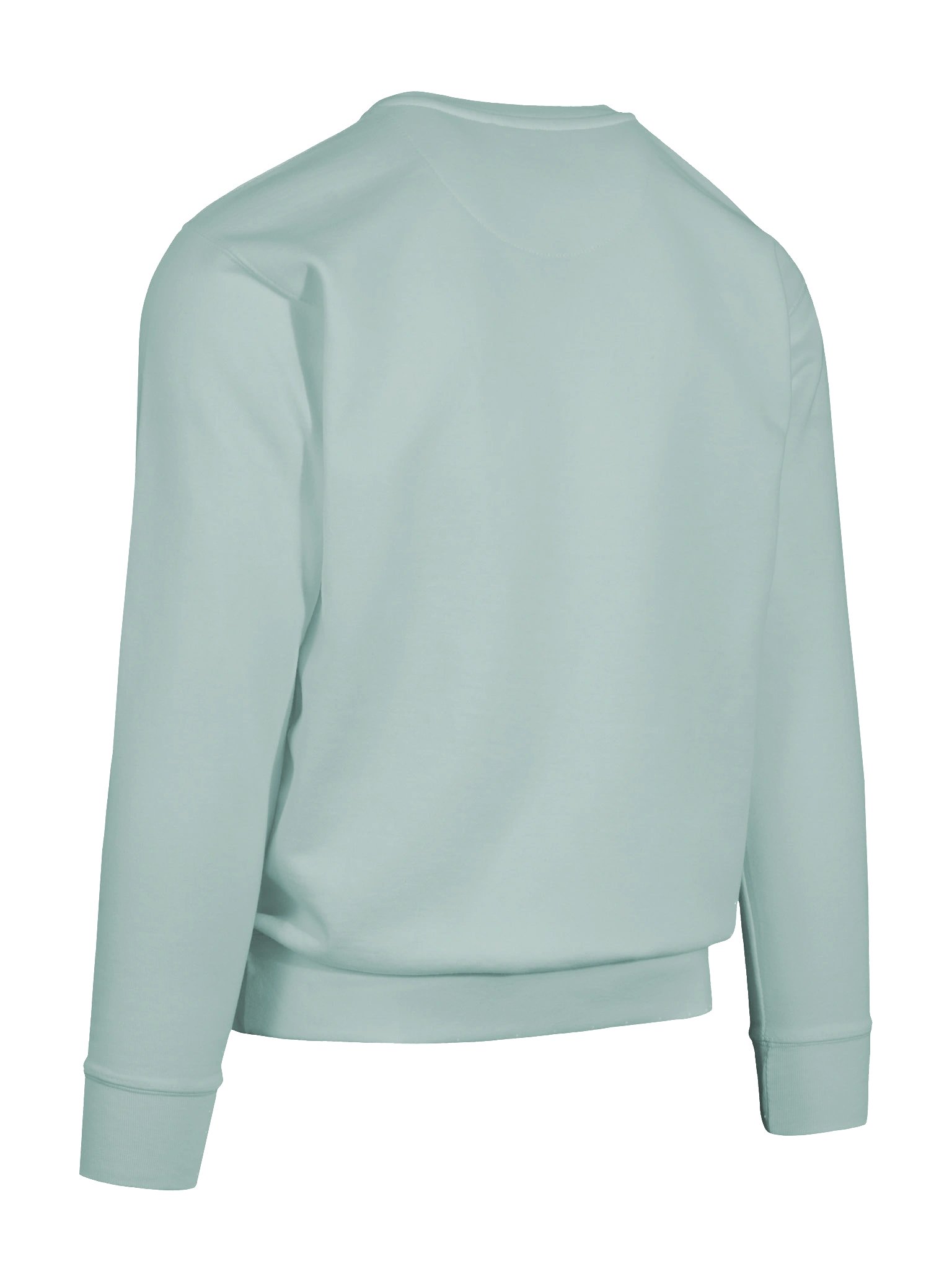 Agave Cotton Sweater product image (12)