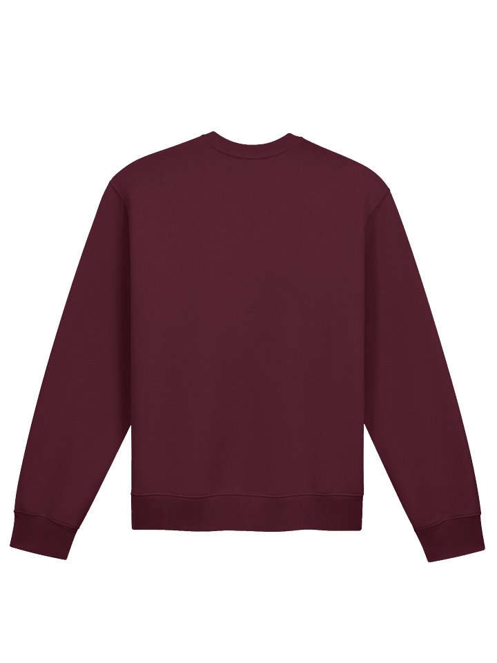 Ryushindo Sweatshirt product image (2)